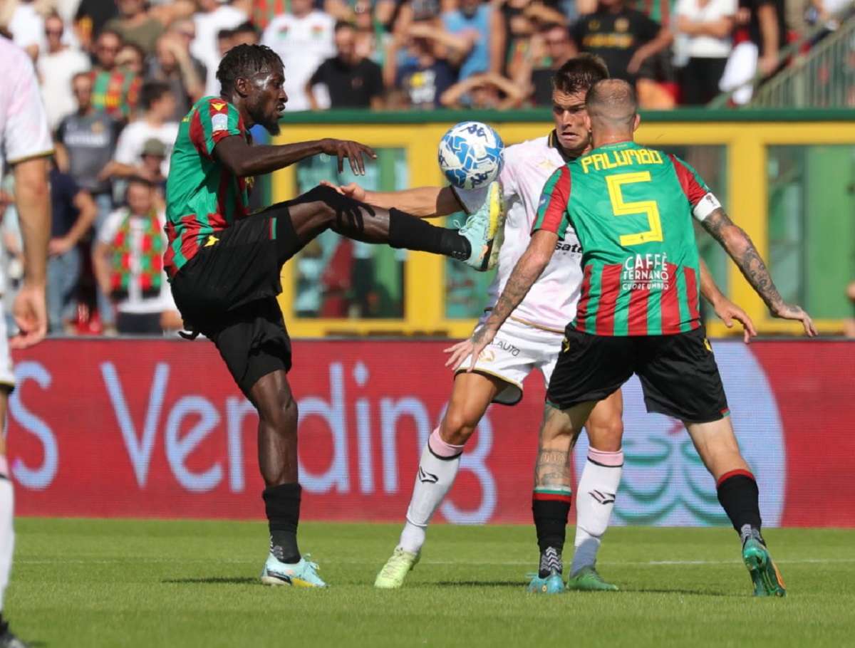 ternana