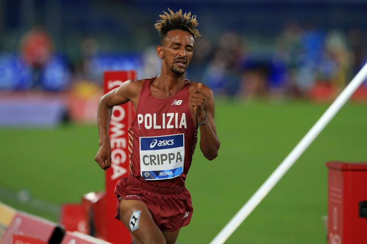 pinter criippa 20240219125149866 0fe6edb3117ee79f0f8050ccd8301670 scaled e1708343549988