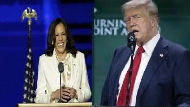 kamala harris donald trump tifo