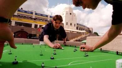 subbuteo