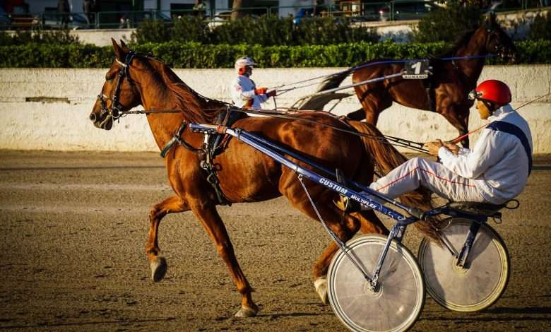 ippodromo agnano