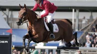 ippica, cavalli, equestre, gran premio